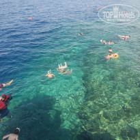 фото из отзыва ID 2724341