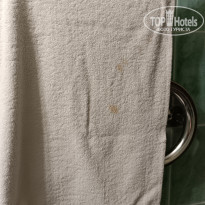 фото из отзыва ID 2724375