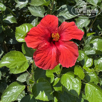 фото из отзыва ID 2723167