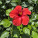 фото из отзыва ID 2723167