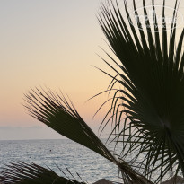 фото из отзыва ID 2723167