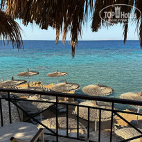 фото из отзыва ID 2724418