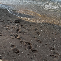 фото из отзыва ID 2724418