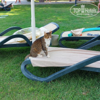 фото из отзыва ID 2724423