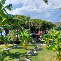 фото из отзыва ID 2724423