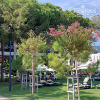 фото из отзыва ID 2724423