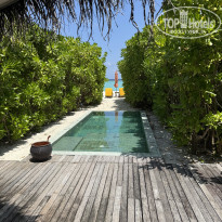 фото из отзыва ID 2722727