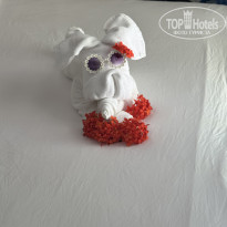 фото из отзыва ID 2722727