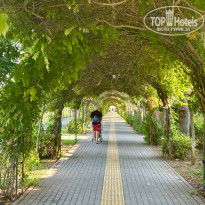 фото из отзыва ID 2724477