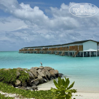 фото из отзыва ID 2724514