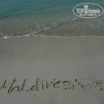 фото из отзыва ID 2724514