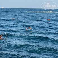 фото из отзыва ID 2724515