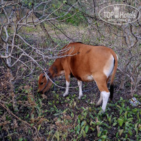 фото из отзыва ID 2724567