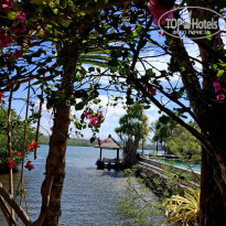 фото из отзыва ID 2724567