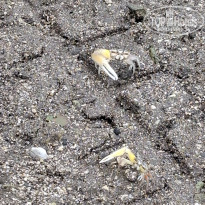 фото из отзыва ID 2724567