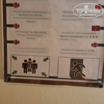 фото из отзыва ID 2724567