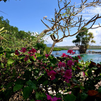 фото из отзыва ID 2724567