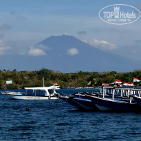 фото из отзыва ID 2724567