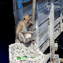 фото из отзыва ID 2724567