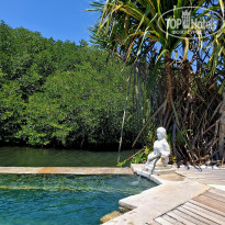 фото из отзыва ID 2724567