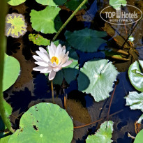 фото из отзыва ID 2724567