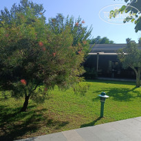 фото из отзыва ID 2724605