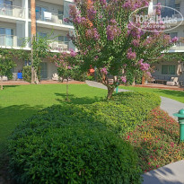 фото из отзыва ID 2724605