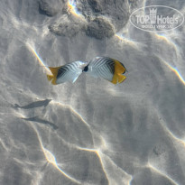 фото из отзыва ID 2724637