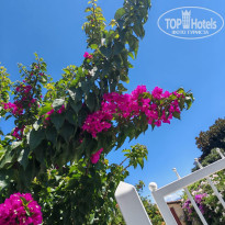 фото из отзыва ID 2724690