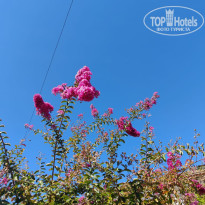 фото из отзыва ID 2724690