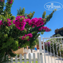 фото из отзыва ID 2724690