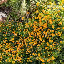 фото из отзыва ID 2724690