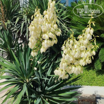 фото из отзыва ID 2724690