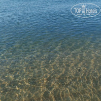 фото из отзыва ID 2724690