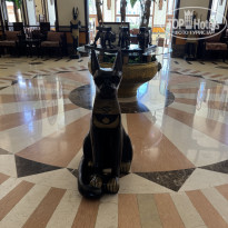 фото из отзыва ID 2724697