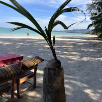 фото из отзыва ID 2724713