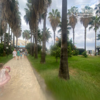 фото из отзыва ID 2724723