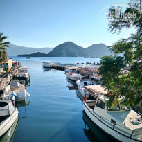 фото из отзыва ID 2724726