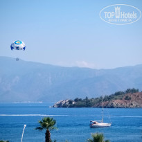 фото из отзыва ID 2724726