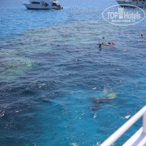 фото из отзыва ID 2724729