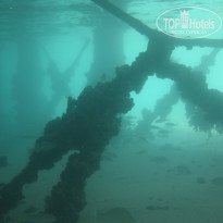 фото из отзыва ID 2724729