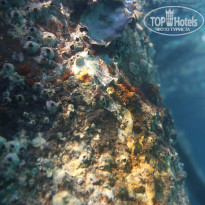 фото из отзыва ID 2724729