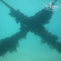 фото из отзыва ID 2724729