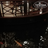 фото из отзыва ID 2724729