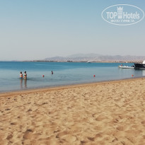 фото из отзыва ID 2724729