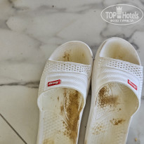 фото из отзыва ID 2724800