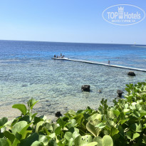 фото из отзыва ID 2724812