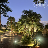 фото из отзыва ID 2724812