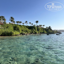 фото из отзыва ID 2724812