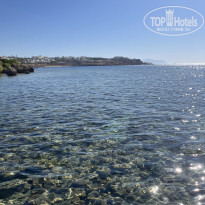 фото из отзыва ID 2724836